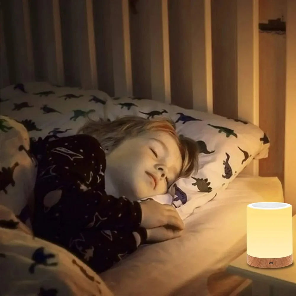 Touch Bedside Light, Bedroom Night Light, Dimmable Desk Light, Remote Control 13 Color Changing Light, Timed Shutdown, USB Charg
